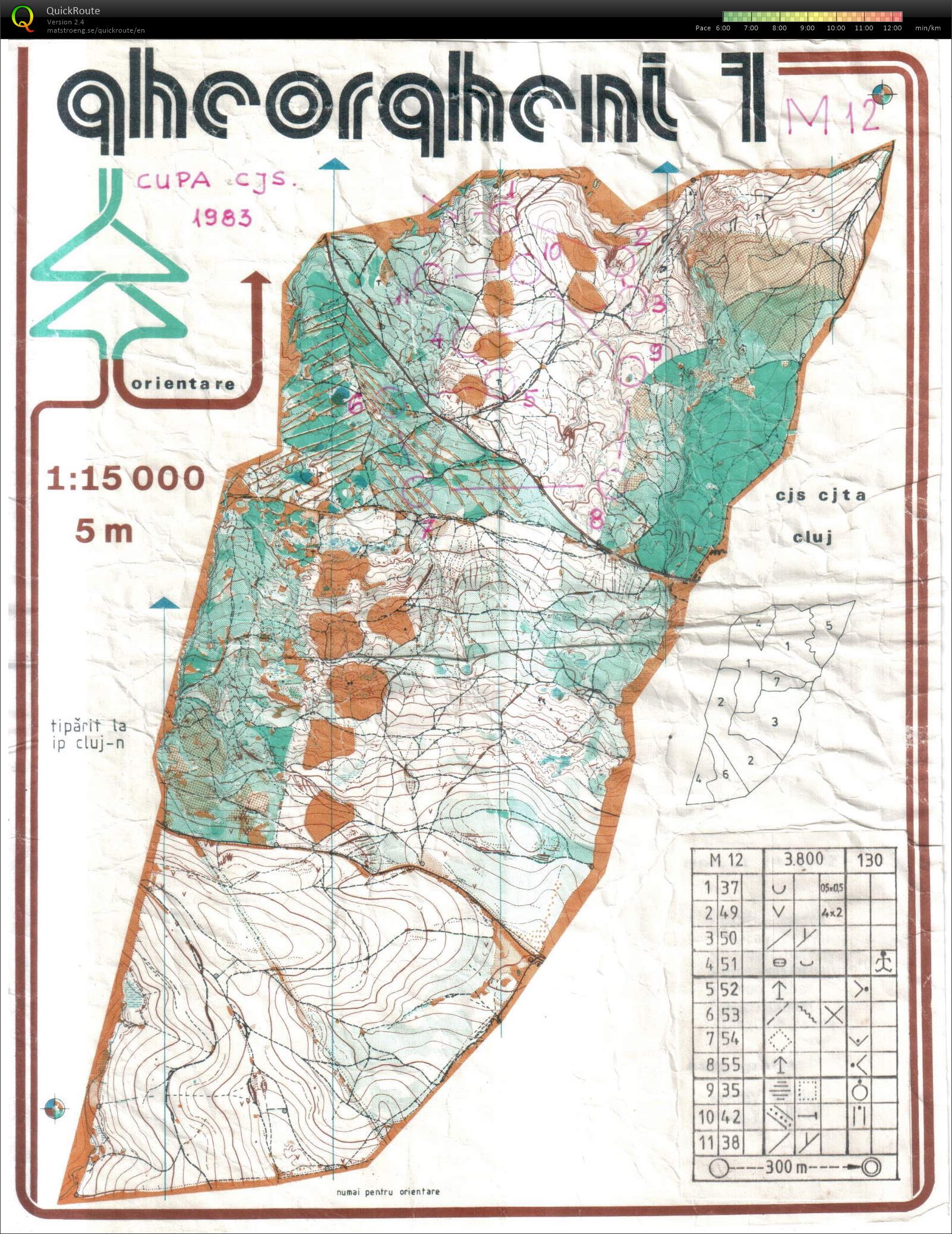Cupa CJS (29/07/1983)